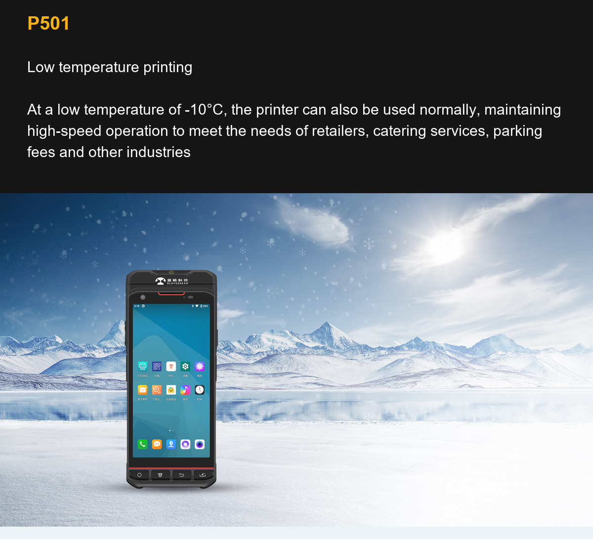 P501 Low temperature printing