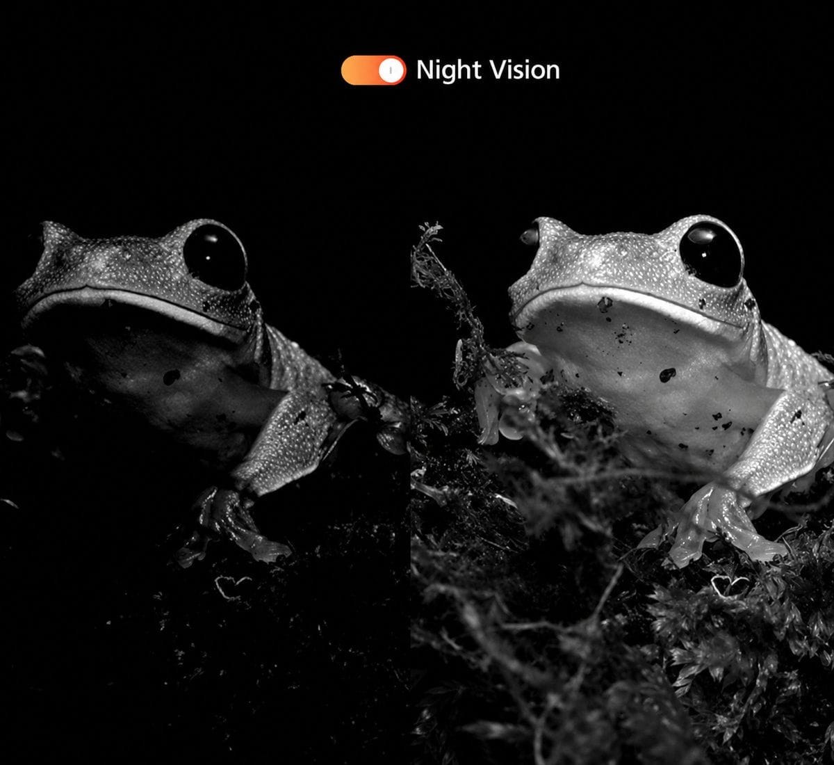 DOOGEE Fire 3 Max product features 15