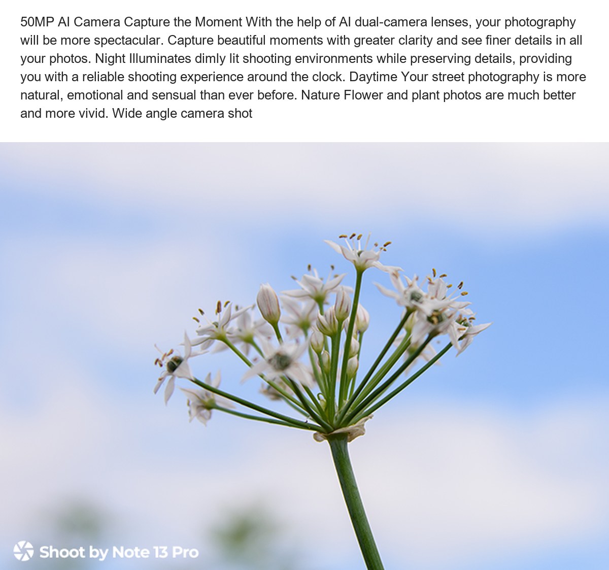 50MP AI Camera Capture the Moment With the help of AI dual-camera lenses, your photography will be more spectacular. Capture beaut - view 50