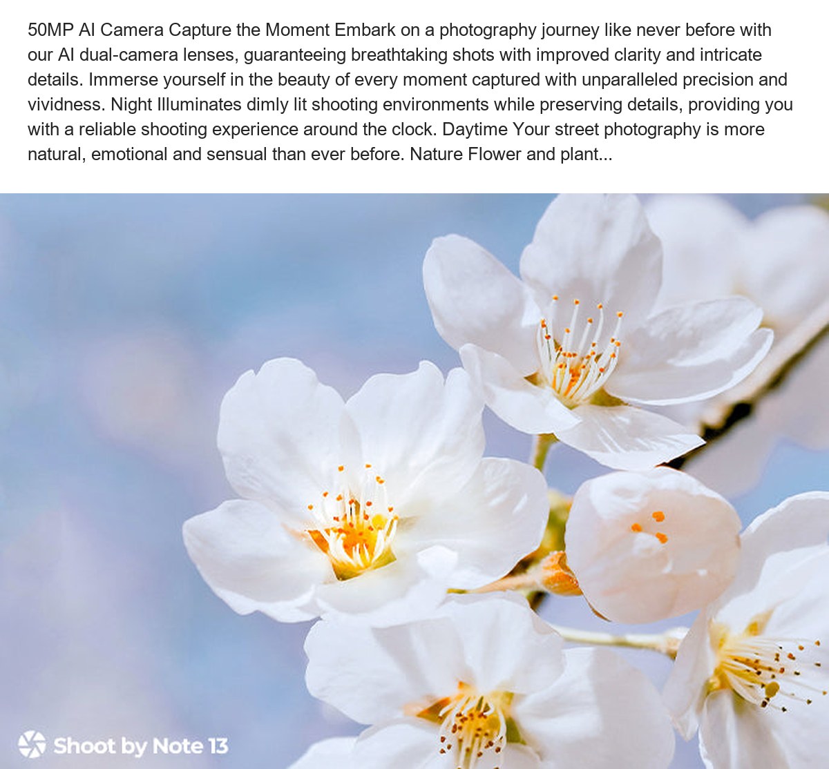 50MP AI Camera Capture the Moment Embark on a photography journey like never before with our AI dual-camera lenses, guaranteeing b - view 44