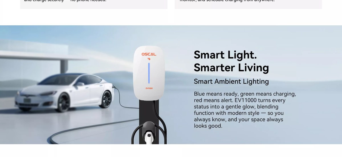 OSCAL EV11000 product details