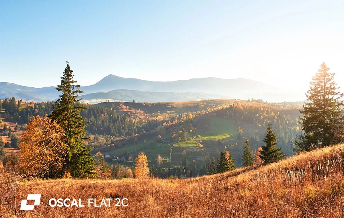 OSCAL FLAT 2C product details