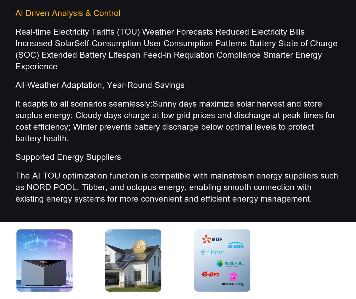 OSCAL Power Storage 2000 product details