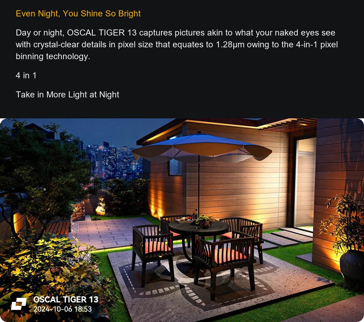 OSCAL TIGER 13 product details