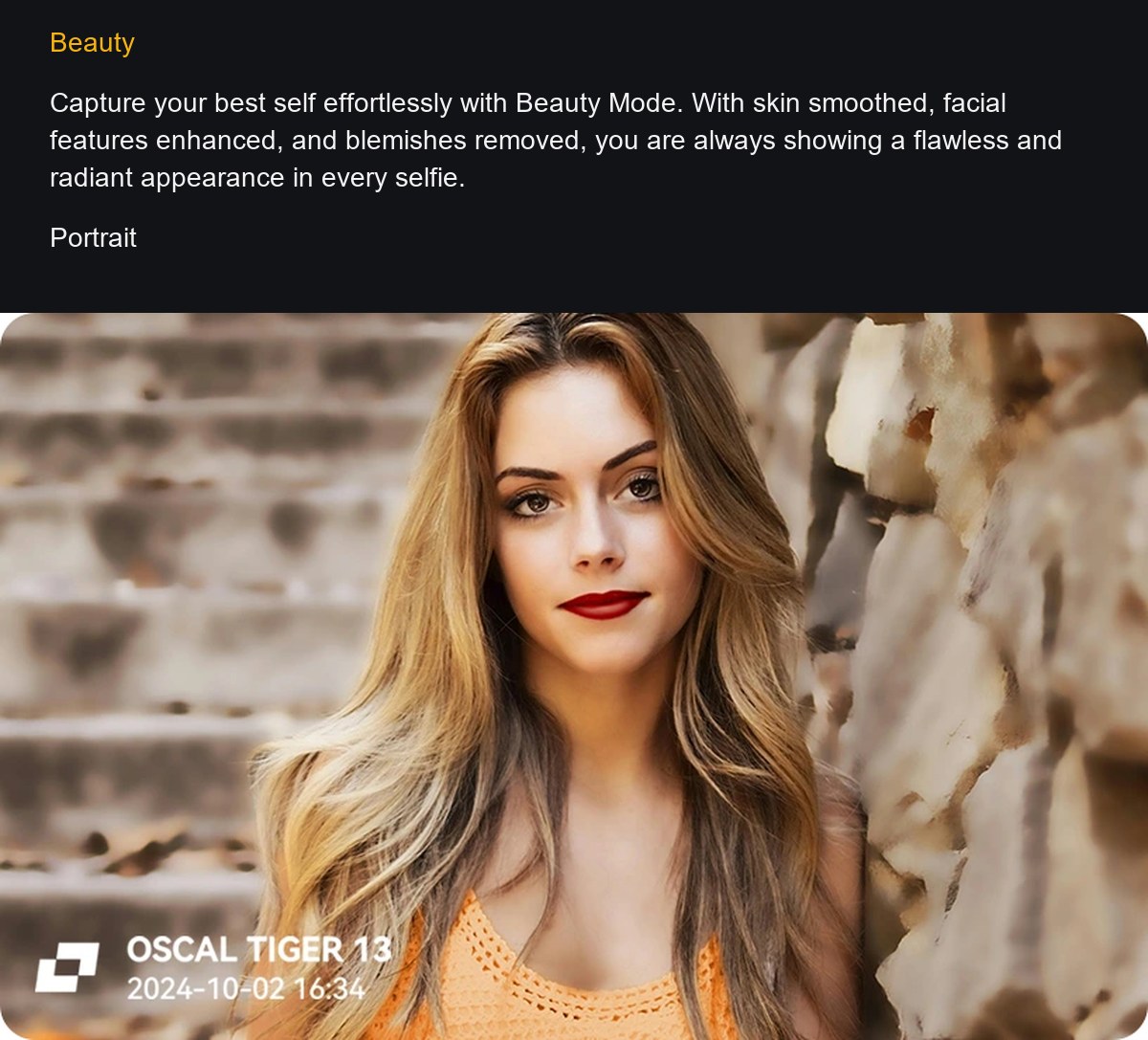 OSCAL TIGER 13 product details