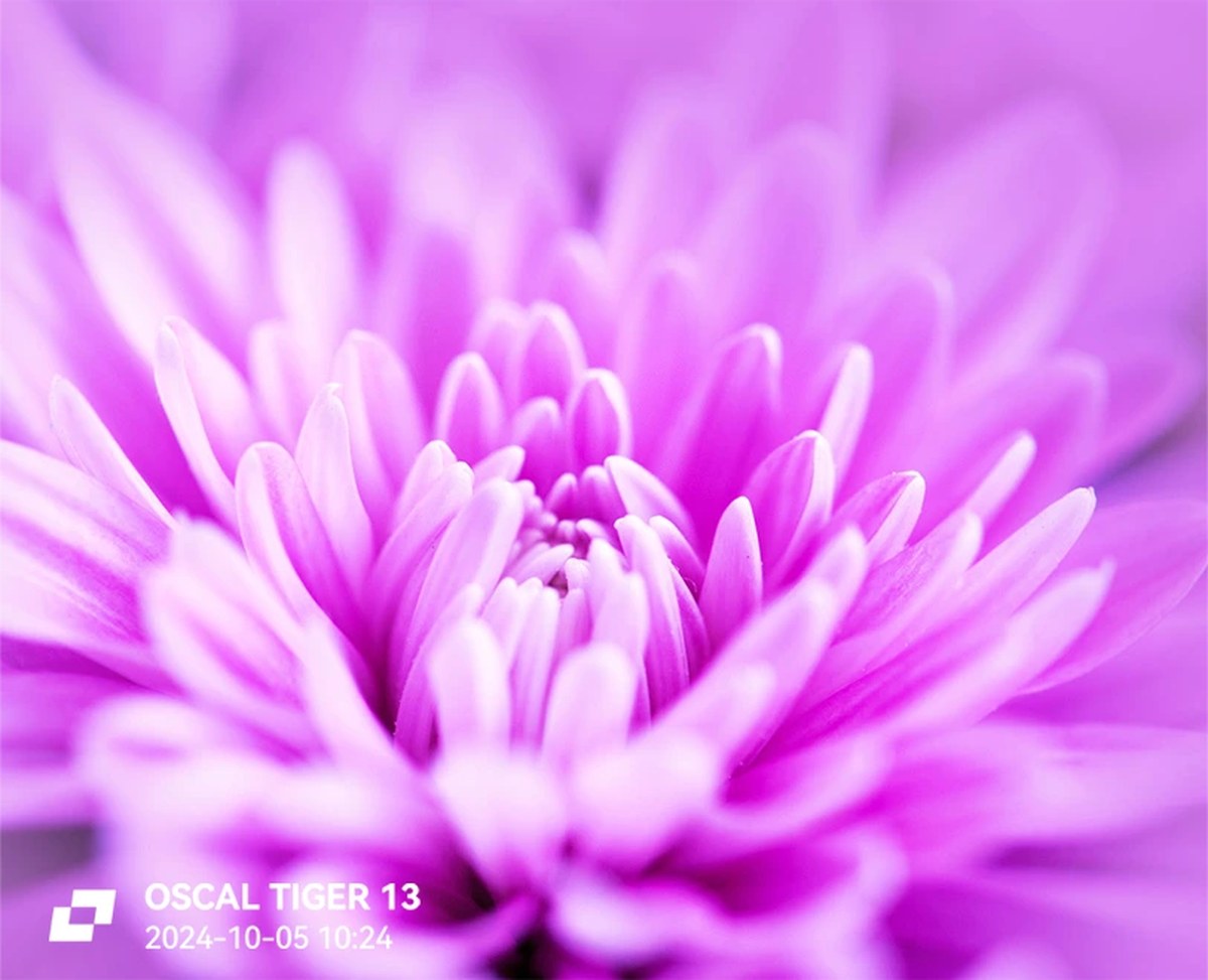 OSCAL detail illustration