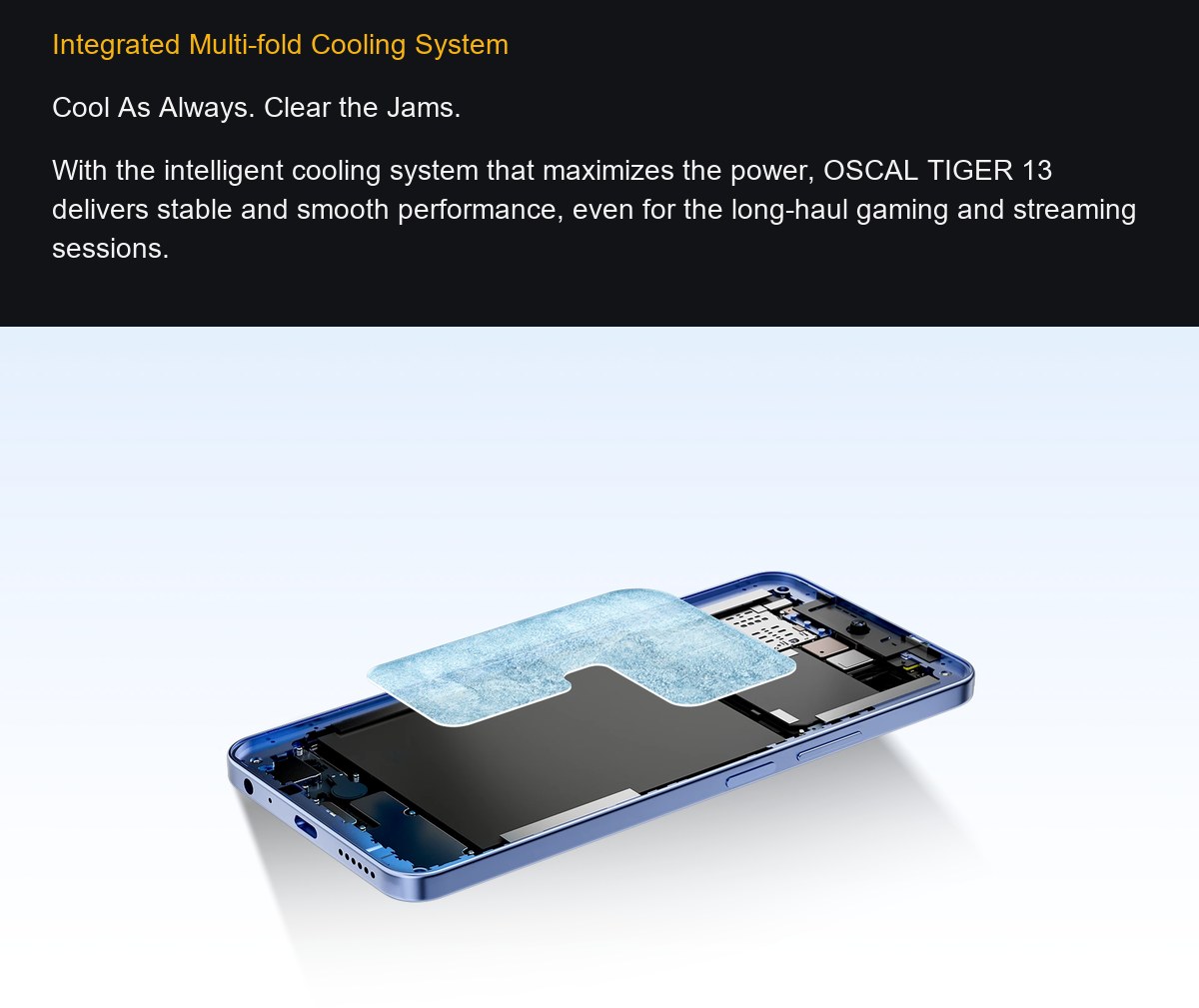 OSCAL TIGER 13 product details