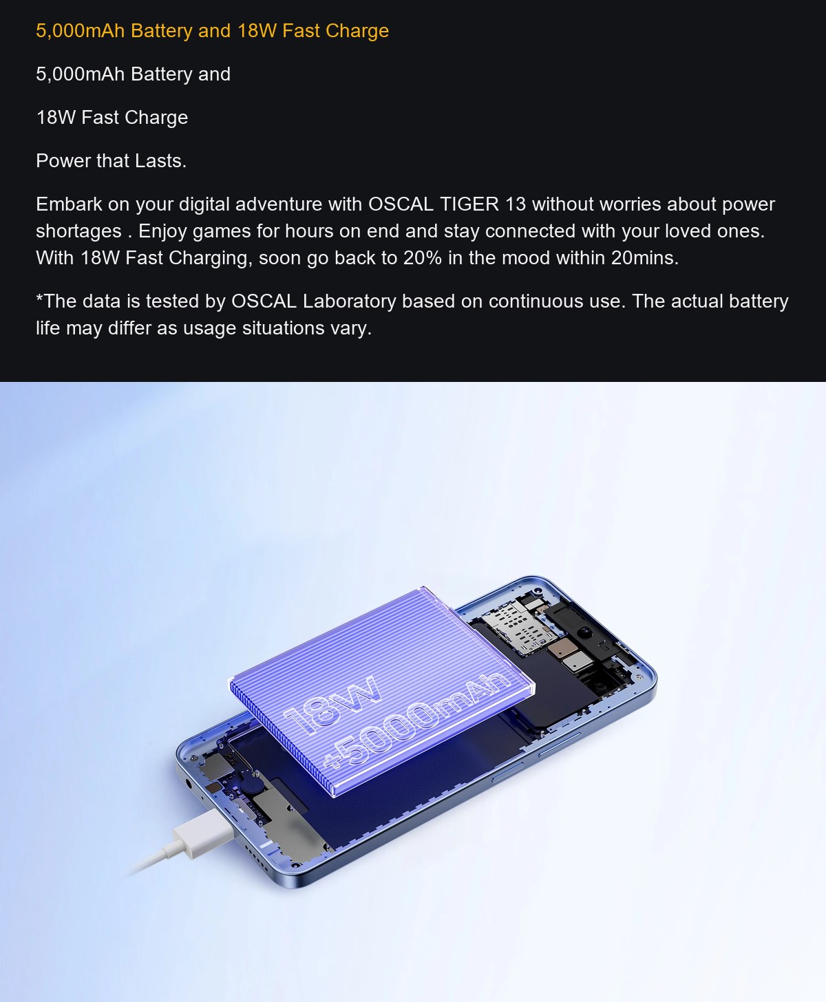 OSCAL TIGER 13 product details