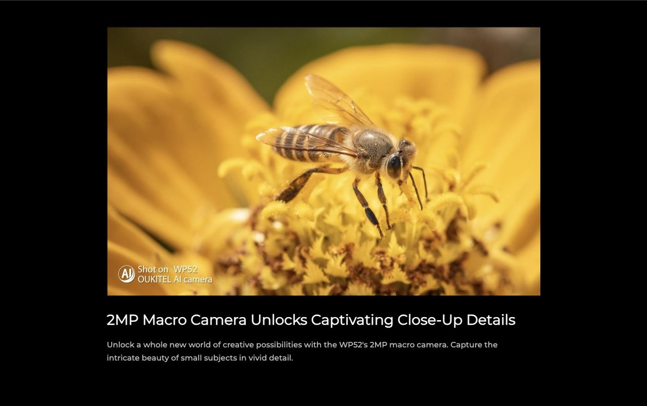 2MP Macro Camera Unlocks Captivating Close-Up Details Unlock a whole new world of creative possibilities with the WP52's 2MP macro camera. Capture the intricate beauty of small subjects in vivid detail.