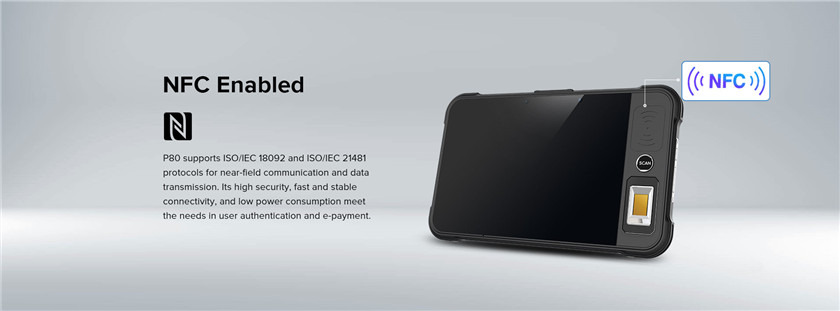 RUGGEDMASTER P80 specification diagram