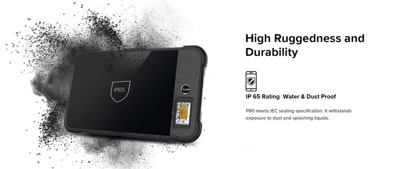 RUGGEDMASTER P80 specification diagram