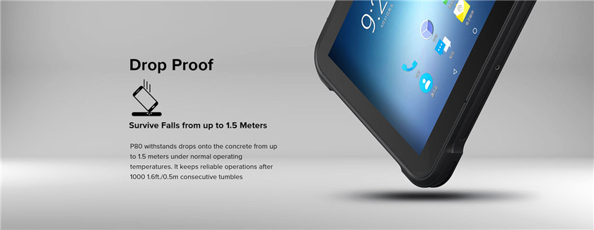 RUGGEDMASTER P80 specification diagram