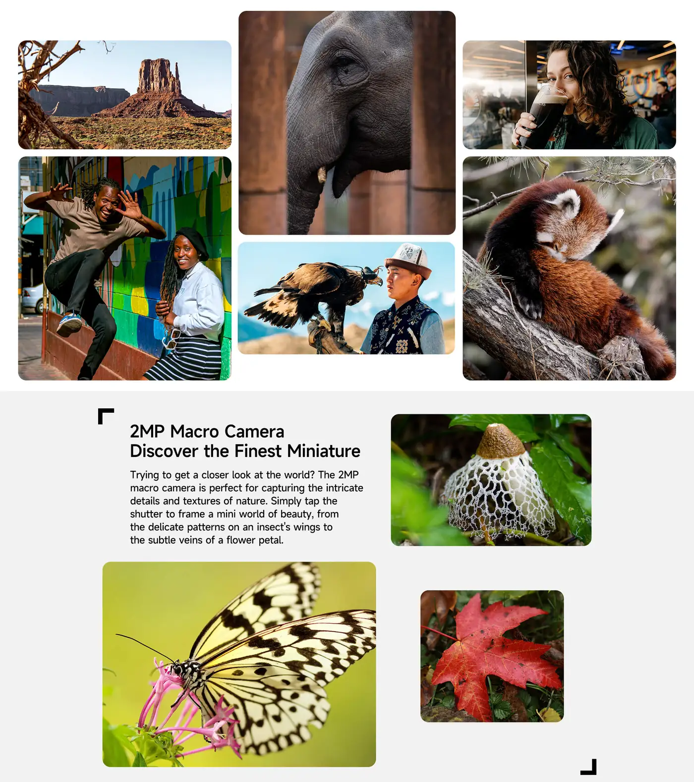 Ulefone RugKing 3 Pro features and specifications 10